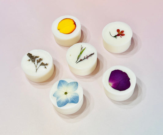 Aromatherapy Essential Oil Wax Melt Set (6 in a Box)